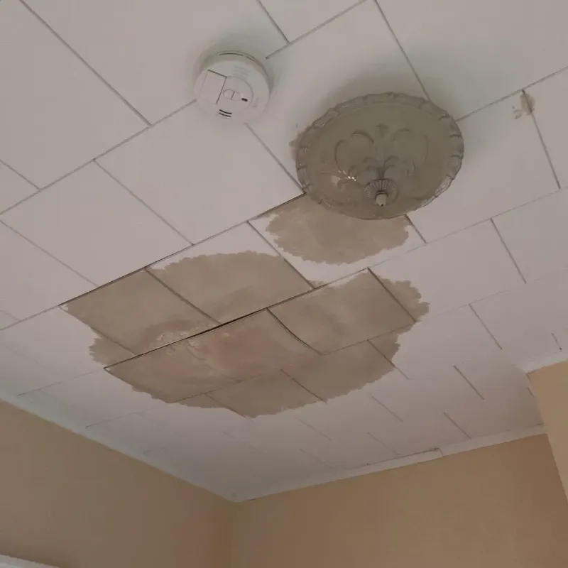 Ceiling Water Damage Repair in Forsyth, MO
