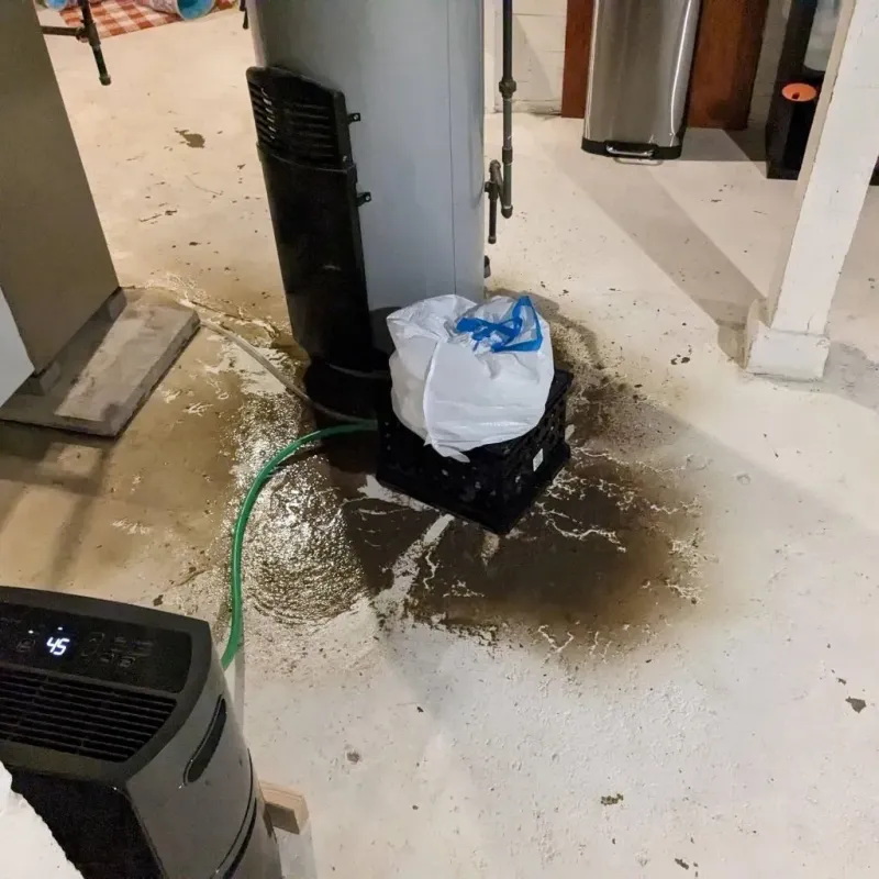 Sewage Backup Cleanup Service in Forsyth, MO